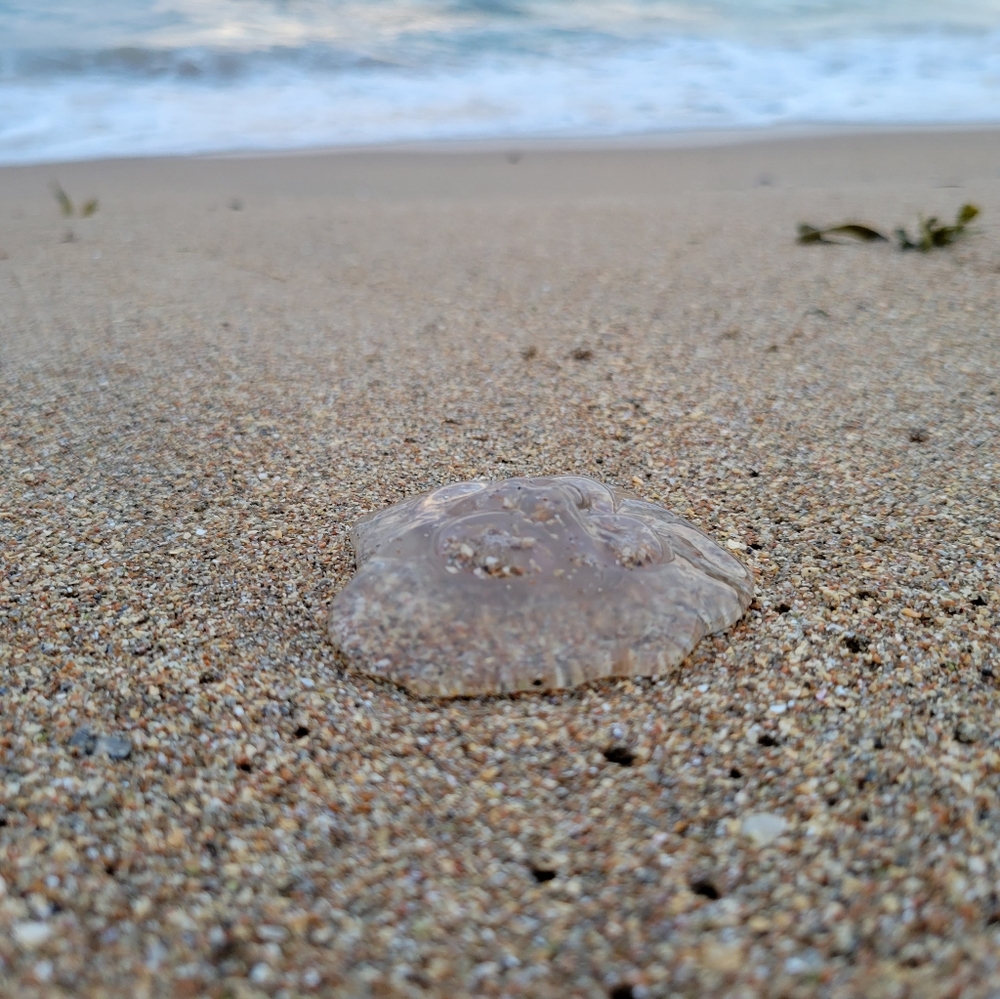 Bookmark me by liking this :) - Picture 4 of 8
